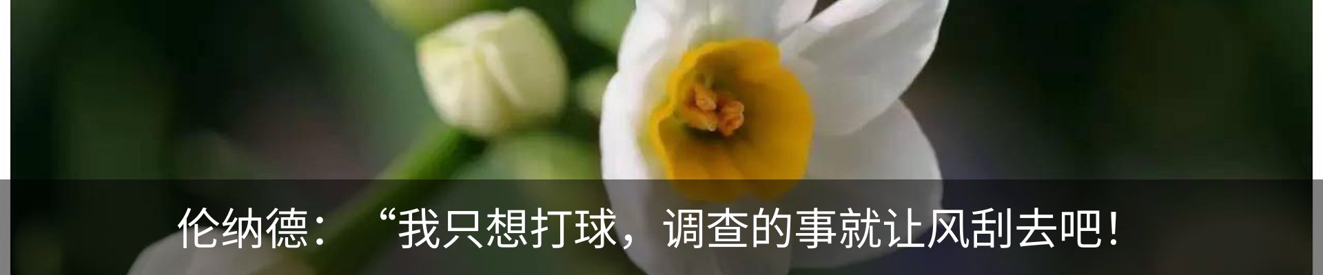 新闻动态