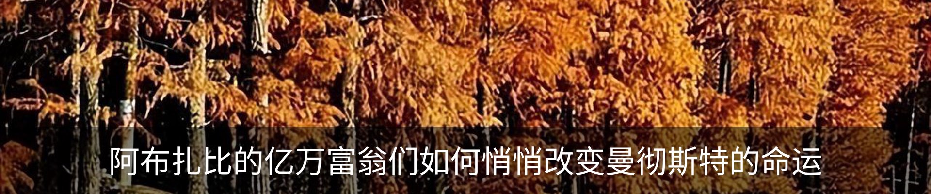 新闻动态